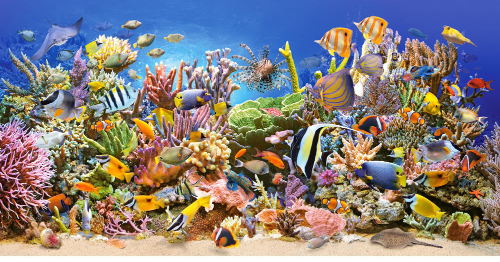 Added Castorland Underwater life 4000 pieces to Wishlist