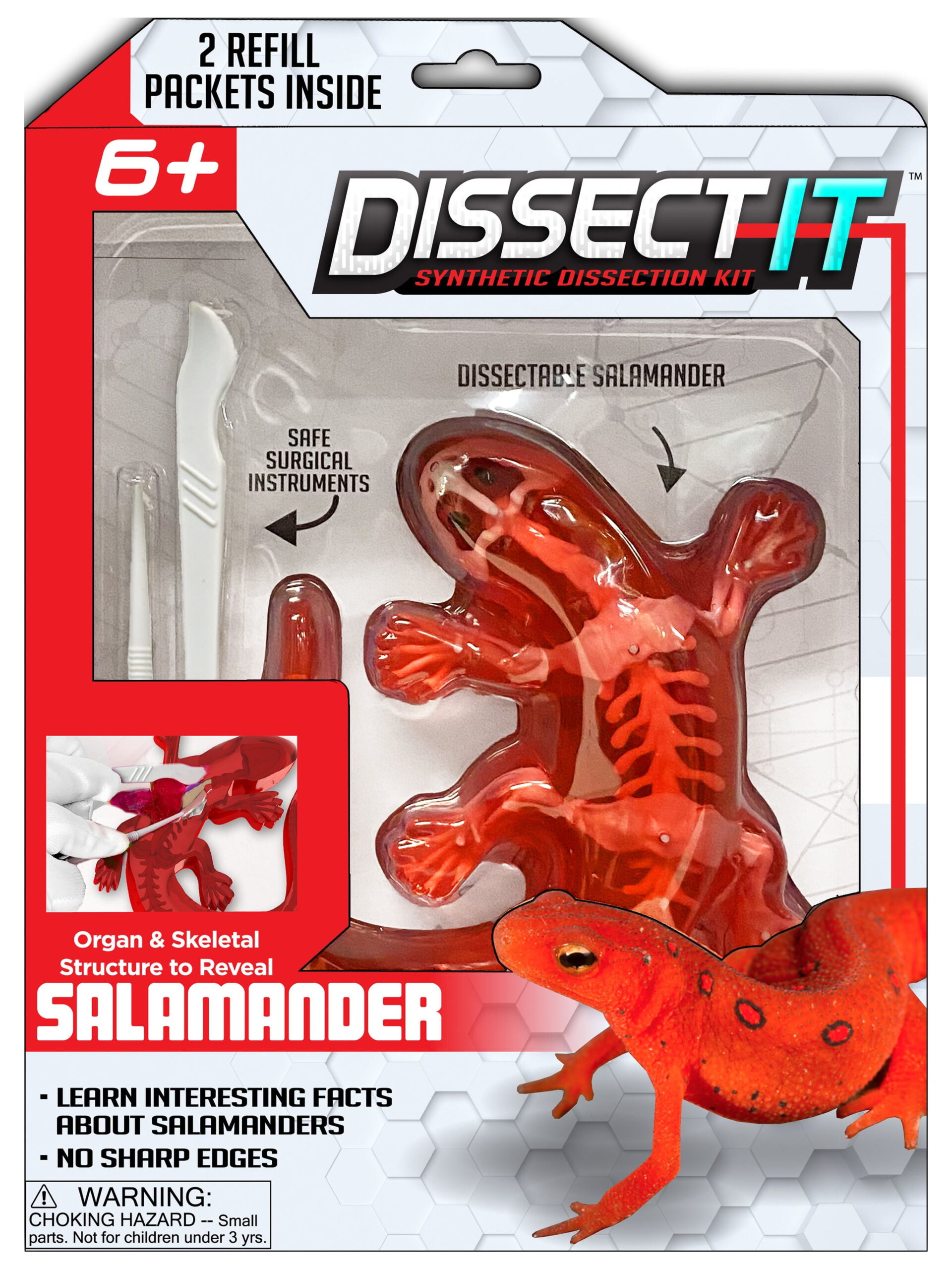 Added Dissect-It Salamander Lab Interactive Simulation Stem Toy, Anatomy, for Child Ages 6+ to Wishlist