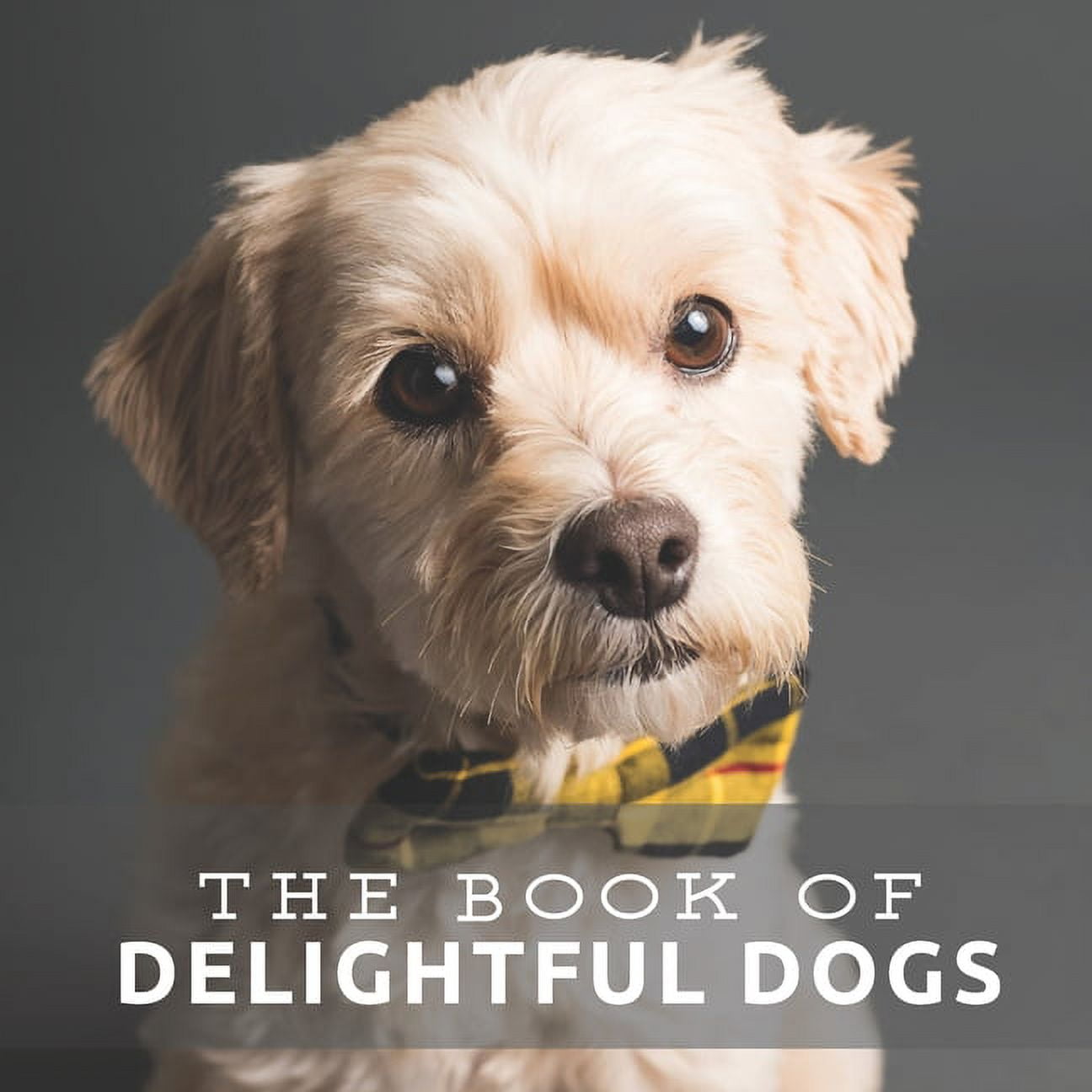 Added Picture & Activity Books for Seniors The Book of Delightful Dogs, Book 1, (Paperback) to Wishlist